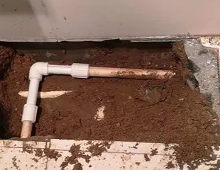 衡南测漏水哪家好