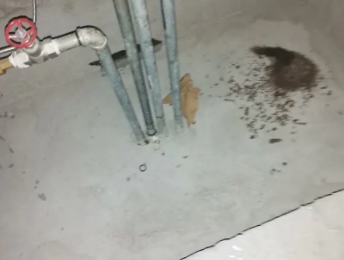 衡南卫生间测漏水价格明细