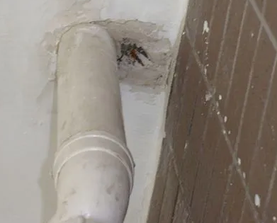 衡南漏水检测哪家好